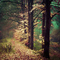 Thumbnail for version as of 05:40, 15 April 2013