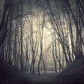 Ghosty-profile-picture.jpg