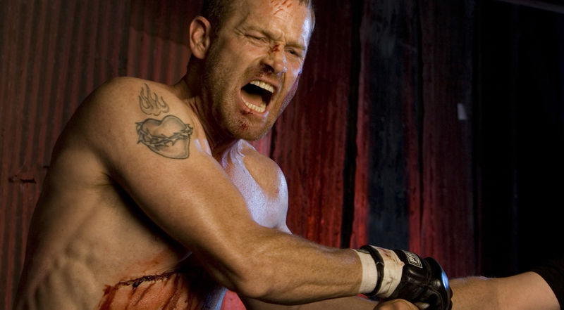 File:Nolanfight.jpg