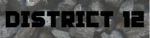 District12 banner.png