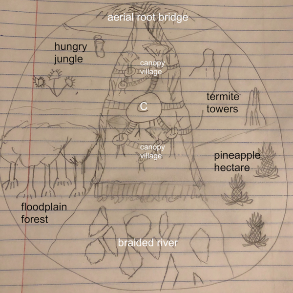 File:84th arena map.png