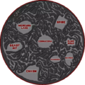 68th arena map.png