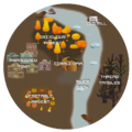 83rd map.png